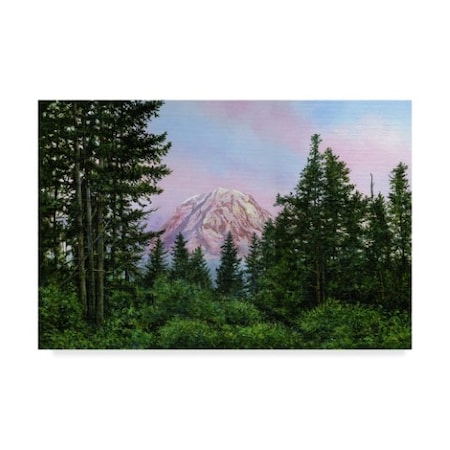 John Morrow 'Pink Mountain' Canvas Art,22x32